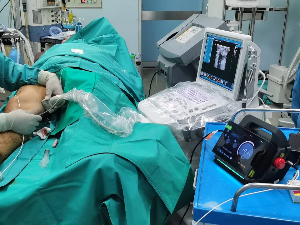 Clinical Training Support-Professional