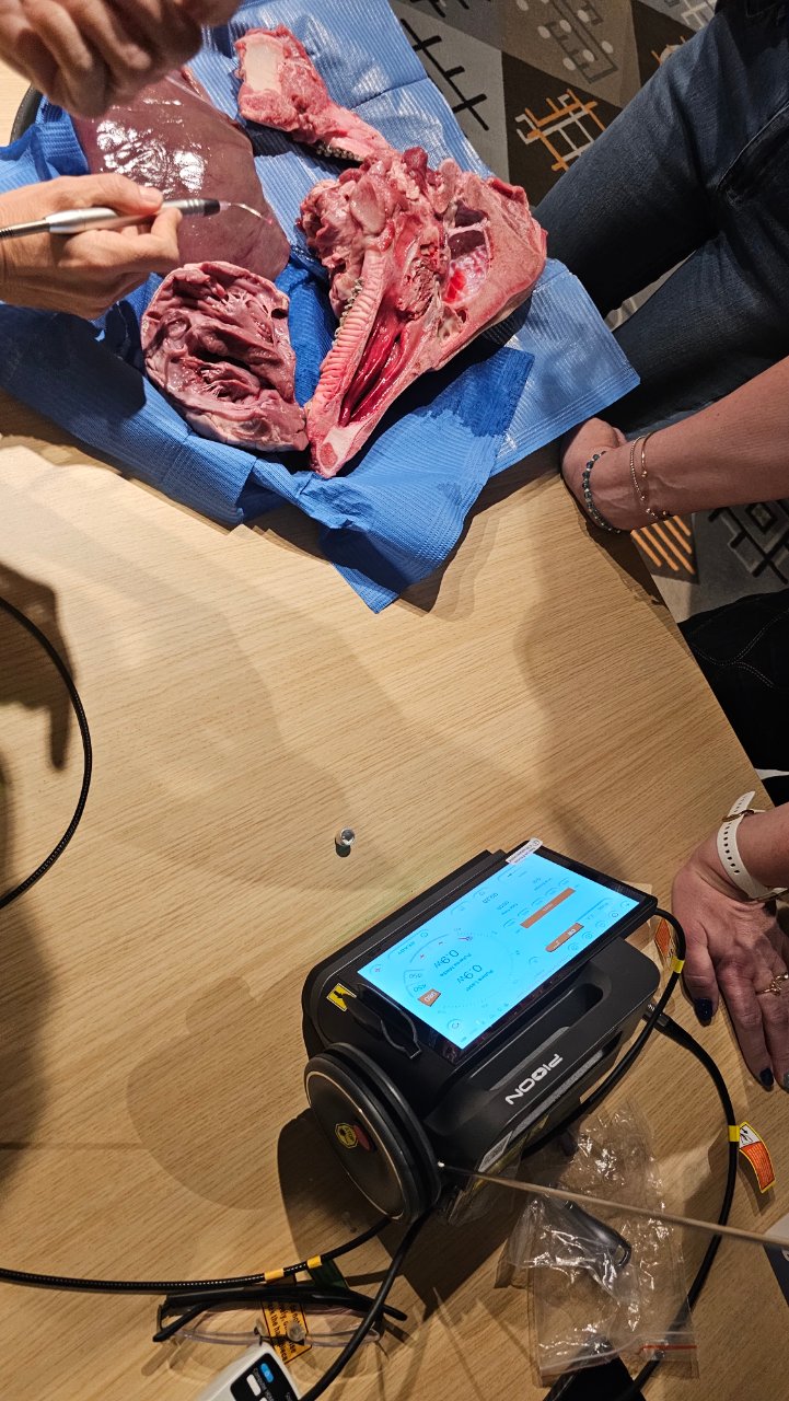 PIOON Dental Laser Romania Practical Training